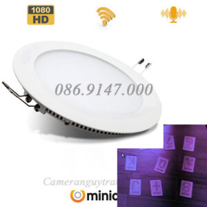 Camera đèn led ngụy trang bóng đèn